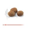 Royal Canin Sterilised 7+ - ivartalanított idősödő macska száraz táp  10 kg