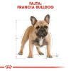 Royal Canin French Bulldog Adult - Francia Bulldog felnőtt kutya száraz táp  3 kg