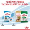Royal Canin Mini Puppy - kistestű kölyök kutya száraz táp  8 kg