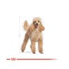Royal Canin Poodle Adult - Uszkár felnőtt kutya száraz táp  1.5 kg