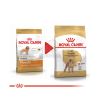 Royal Canin Poodle Adult - Uszkár felnőtt kutya száraz táp  7.5 kg
