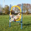 Trixie Agility - karika (ugró akadály)  115x3x65 cm