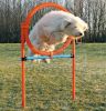 Trixie Agility - karika (ugró akadály)  115x3x65 cm