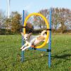 Trixie Agility - karika (ugró akadály)  115x3x65 cm