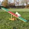 Trixie Agility - hinta  300x54x34 cm