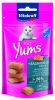 Vitakraft Cat Yums lazaccal és Omega-3-al macskának  40 g
