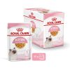 Royal Canin Kitten Jelly - kölyök macska zselés nedves táp  85 g