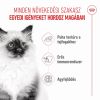 Royal Canin Kitten Jelly - kölyök macska zselés nedves táp  85 g