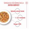 Royal Canin Kitten Jelly - kölyök macska zselés nedves táp  85 g
