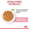 Royal Canin Kitten Jelly - kölyök macska zselés nedves táp  85 g