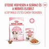 Royal Canin Kitten Jelly - kölyök macska zselés nedves táp  85 g