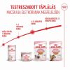 Royal Canin Kitten Jelly - kölyök macska zselés nedves táp  85 g