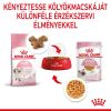 Royal Canin Kitten Jelly - kölyök macska zselés nedves táp  85 g
