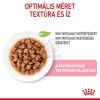 Royal Canin Kitten Gravy - szószos nedvestáp kölyök macska szószos nedves táp  85 g