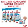 Royal Canin Starter Mother & Babydog Mousse - kölyök kutya pépes nedves táp  195 g