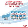 Royal Canin Starter Mother & Babydog Mousse - kölyök kutya pépes nedves táp  195 g