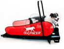 dogPACER futópad  80 kg