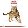 Royal Canin Bengal Adult - Bengáli felnőtt macska száraz táp  400 g