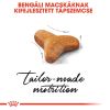 Royal Canin Bengal Adult - Bengáli felnőtt macska száraz táp  400 g