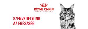 Royal Canin Bengal Adult - Bengáli felnőtt macska száraz táp  2 kg
