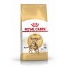 Royal Canin Bengal Adult - Bengáli felnőtt macska száraz táp  2 kg