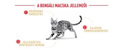 Royal Canin Bengal Adult - Bengáli felnőtt macska száraz táp  2 kg
