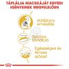 Royal Canin Bengal Adult - Bengáli felnőtt macska száraz táp  2 kg