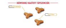 Royal Canin Bengal Adult - Bengáli felnőtt macska száraz táp  2 kg