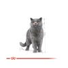 Royal Canin British Shorthair Adult - Brit rövidszőrű felnőtt macska nedves táp  85 g