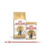 Royal Canin British Shorthair Adult - Brit rövidszőrű felnőtt macska nedves táp  85 g