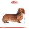 Royal Canin Dachshund Adult - Tacskó felnőtt kutya nedves táp  85 g
