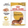 Royal Canin Dachshund Adult - Tacskó felnőtt kutya nedves táp  85 g