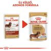 Royal Canin Dachshund Adult - Tacskó felnőtt kutya nedves táp  85 g