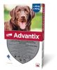 ADVANTIX SPOT-ON 4ML (25-40KG)  1 db