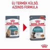 Royal Canin Hairball Care - szószos nedves táp felnőtt macskák részére a szőrlabdák könnyebb eltávozásáért  85 g