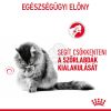 Royal Canin Hairball Care - szószos nedves táp felnőtt macskák részére a szőrlabdák könnyebb eltávozásáért  85 g