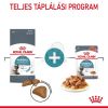 Royal Canin Hairball Care - szószos nedves táp felnőtt macskák részére a szőrlabdák könnyebb eltávozásáért  85 g