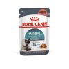 Royal Canin Hairball Care - szószos nedves táp felnőtt macskák részére a szőrlabdák könnyebb eltávozásáért  85 g