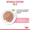 Royal Canin Kitten Loaf - kölyök macska pépes nedves táp  85 g