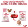 Royal Canin Kitten Loaf - kölyök macska pépes nedves táp  85 g