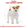 Royal Canin Jack Russell Terrier Adult - Jack Russell Terrier felnőtt kutya száraz táp  0.5 kg