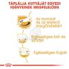 Royal Canin Jack Russell Terrier Adult - Jack Russell Terrier felnőtt kutya száraz táp  1.5 kg