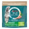 Purina ONE Bifensis Adult Indoor Turkey  1.5 kg