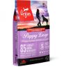 Orijen Puppy Large - szárazeledel nagytestű kölyökkutyáknak  11.4 kg