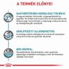 Royal Canin Anallergenic macskáknak  2 kg