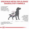 Royal Canin Renal Select  2 kg