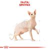 Royal Canin Sphynx Adult - Szfinx felnőtt macska száraz táp  2 kg