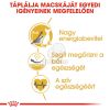 Royal Canin Sphynx Adult - Szfinx felnőtt macska száraz táp  2 kg