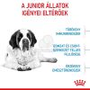 Royal Canin Giant Junior - óriás testű kölyök kutya száraz táp  3.5 kg