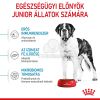 Royal Canin Giant Junior - óriás testű kölyök kutya száraz táp  3.5 kg